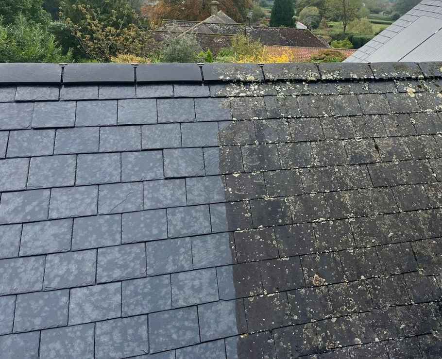Get Your Free Quote Today
